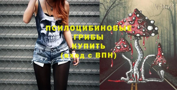 2c-b Богородицк