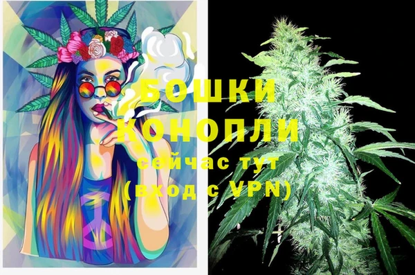 2c-b Богородицк