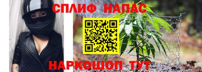 эйфоретик Донской