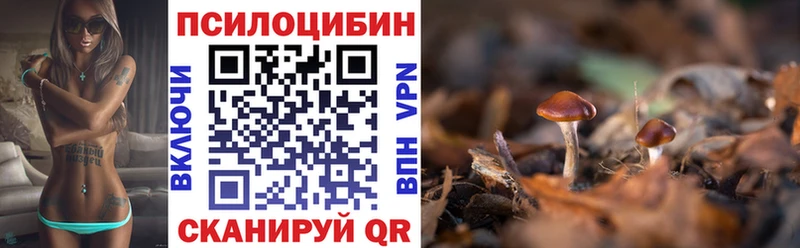 Псилоцибиновые грибы Psilocybine cubensis  Малоярославец 